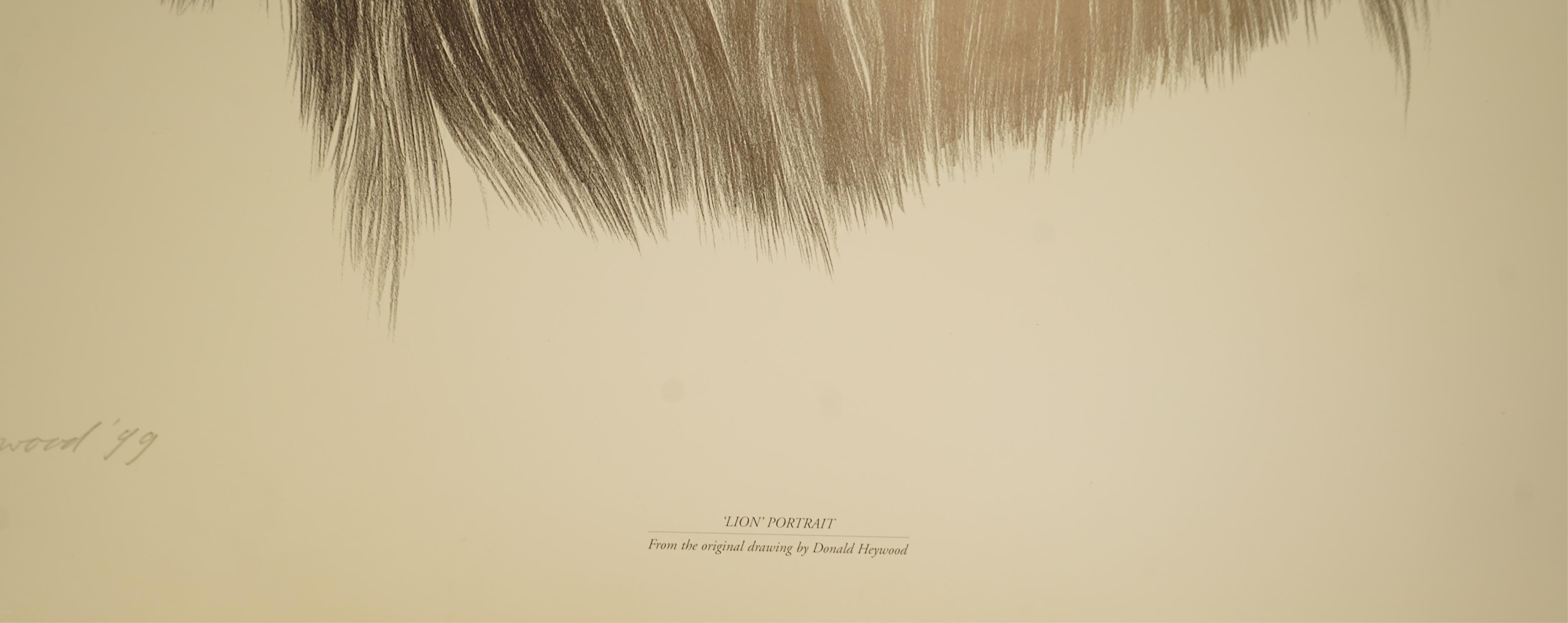 Donald Heywood (b.1944), eleven prints, each signed in pencil to include: ‘Leopard drinking’, ‘Lion portrait’ and ‘Lion cub’, unframed, largest 68 x 48cm